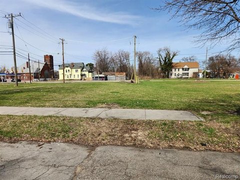 Detroit Land For Sale