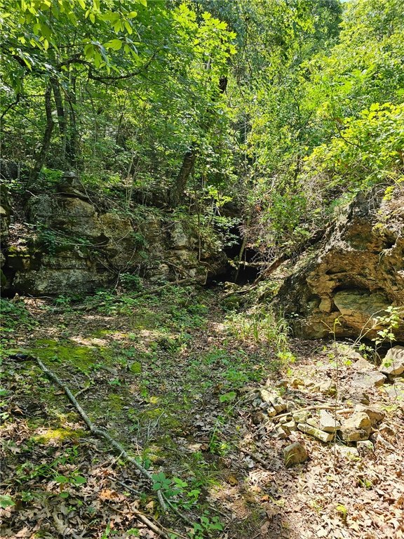 Picture 5