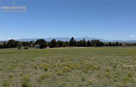 LAND - Peyton, CO
