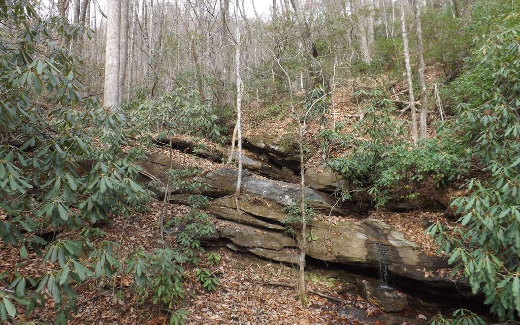 Picture 10