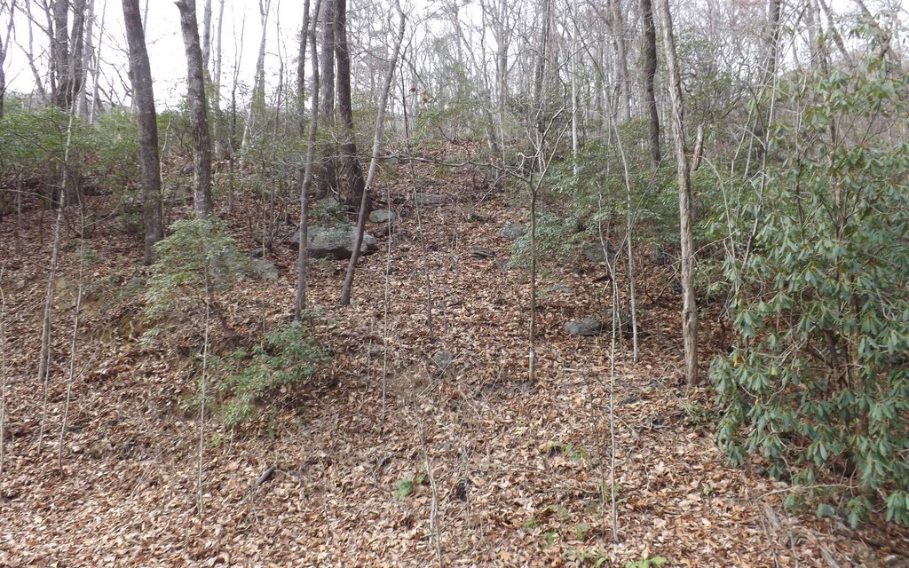 Picture 2