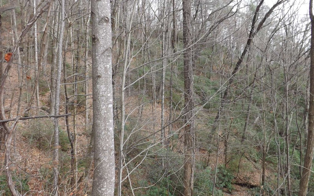 Picture 21