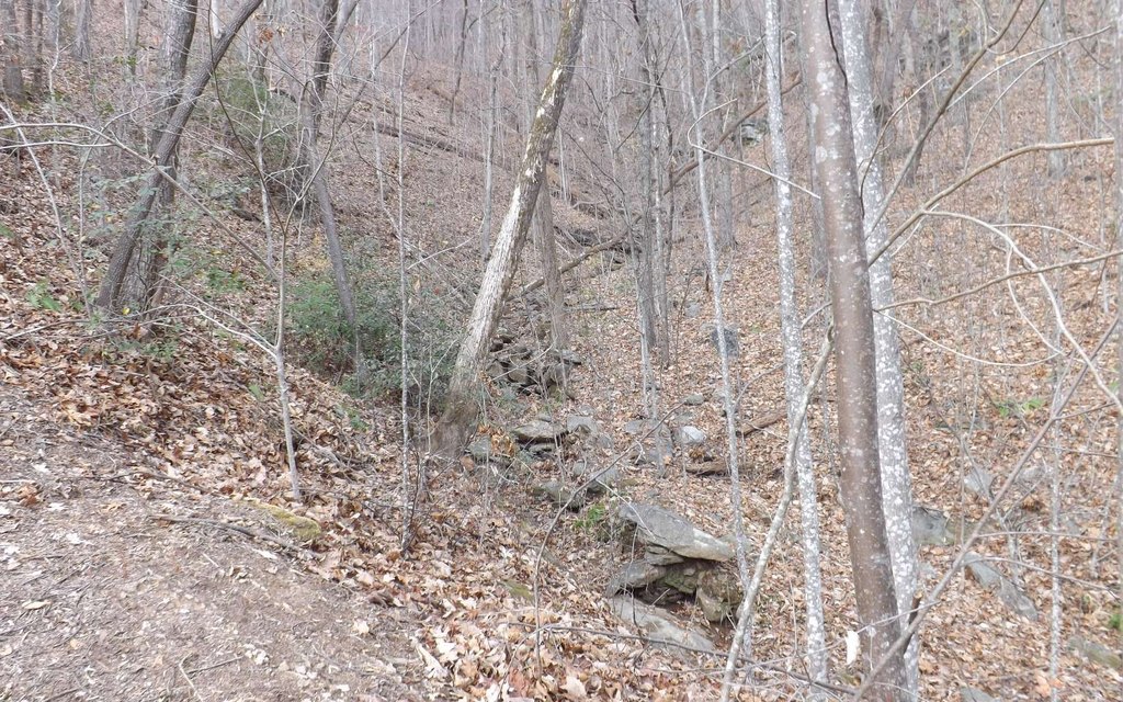 Picture 7