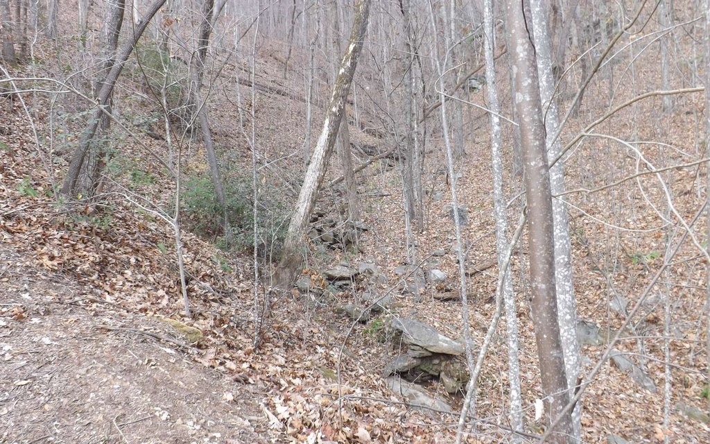 Picture 5