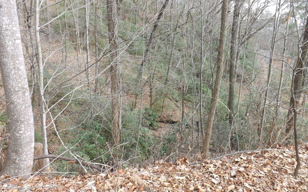 Picture 17