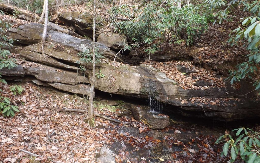 Picture 9