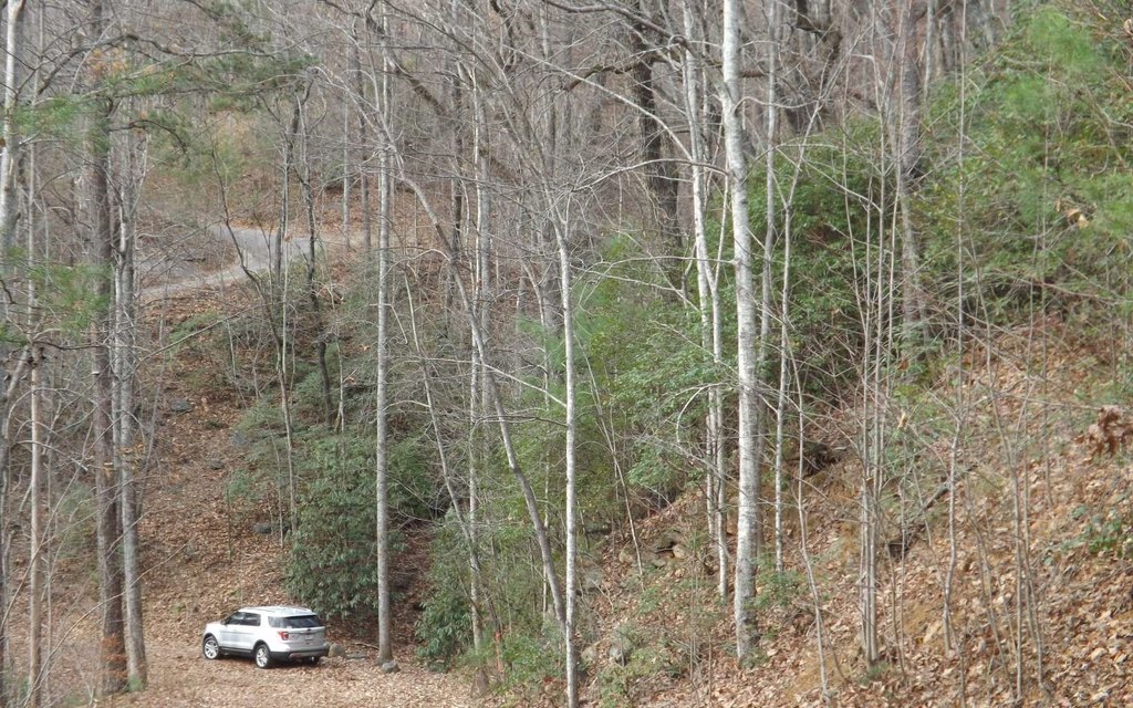 Picture 15