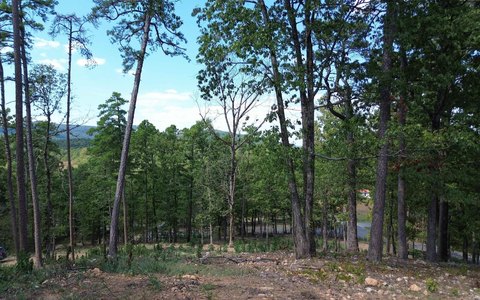 Vacant Land, Mena, AR