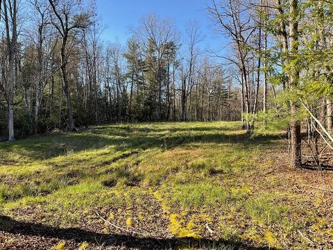 Monterey Land with Creek Border