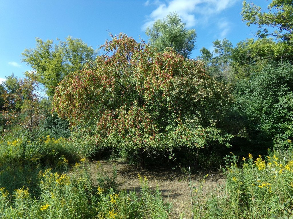 Picture 7