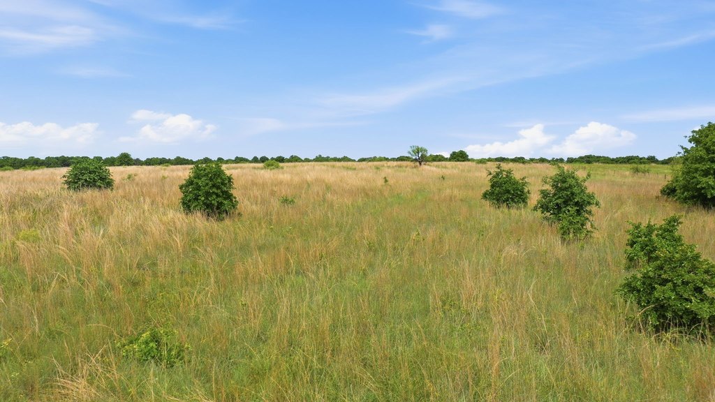 Picture 25