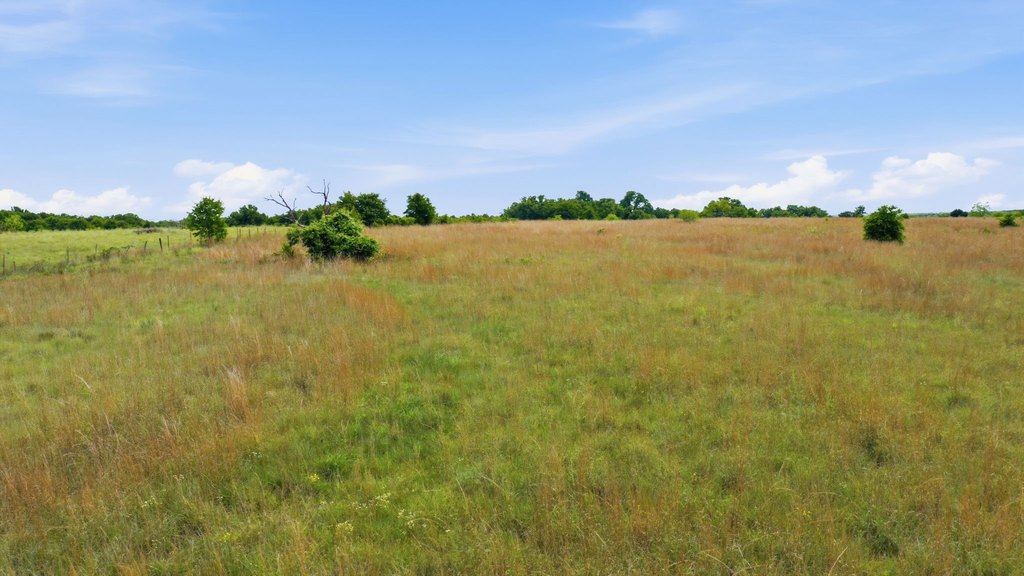 Picture 20