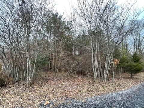 Moneta, VA Land For Sale
