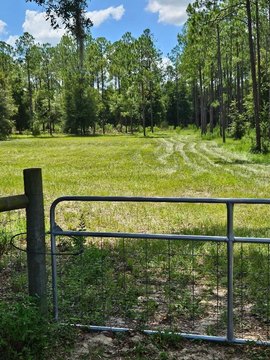 Land, DADE CITY, FL