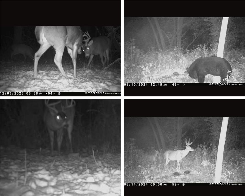 Picture 28
