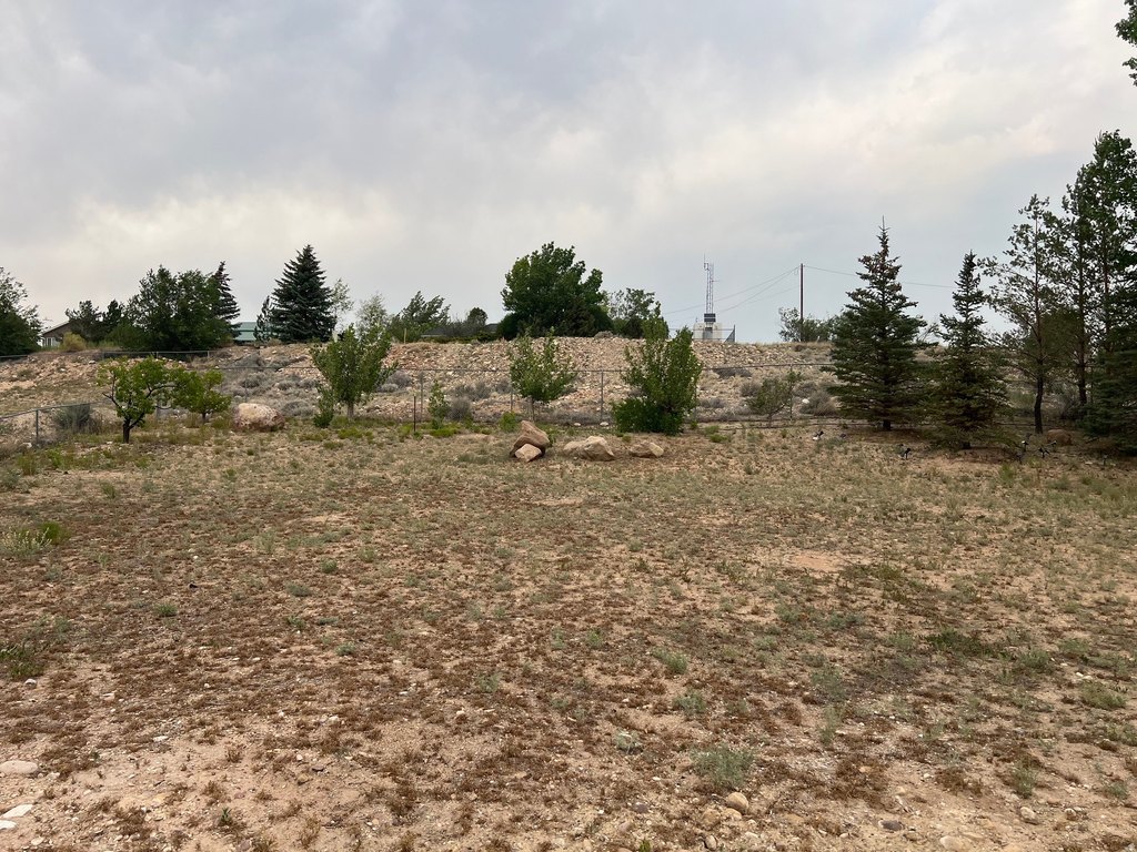 Picture 9
