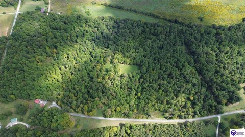 Recreational Hunting Tract