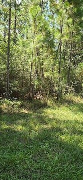 Residential Land in Milton, Florida