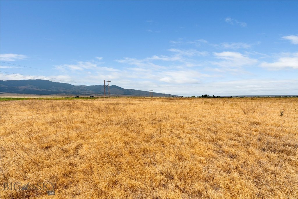 Picture 43