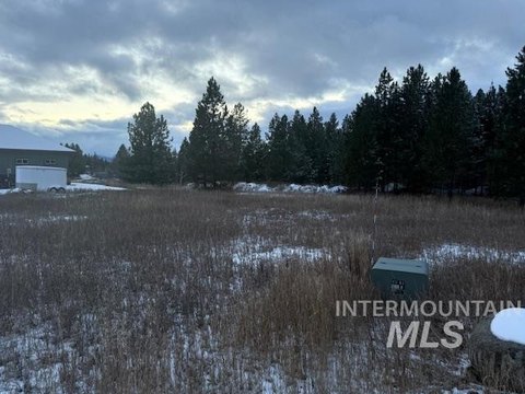 Residential Lot in Desirable McCall