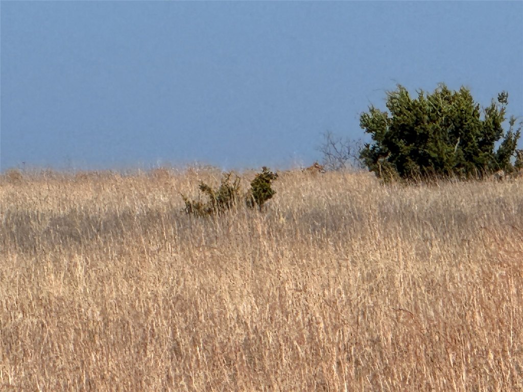 Picture 23