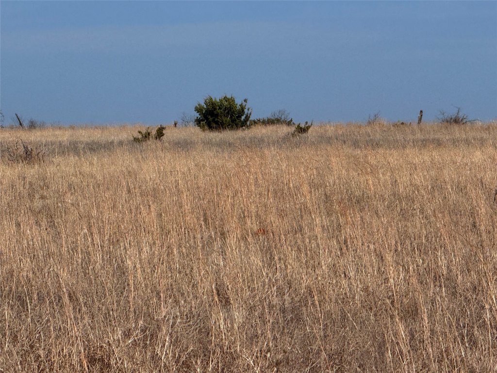 Picture 22