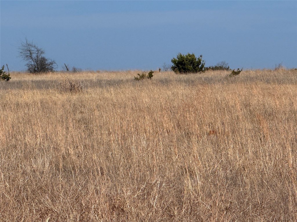 Picture 24