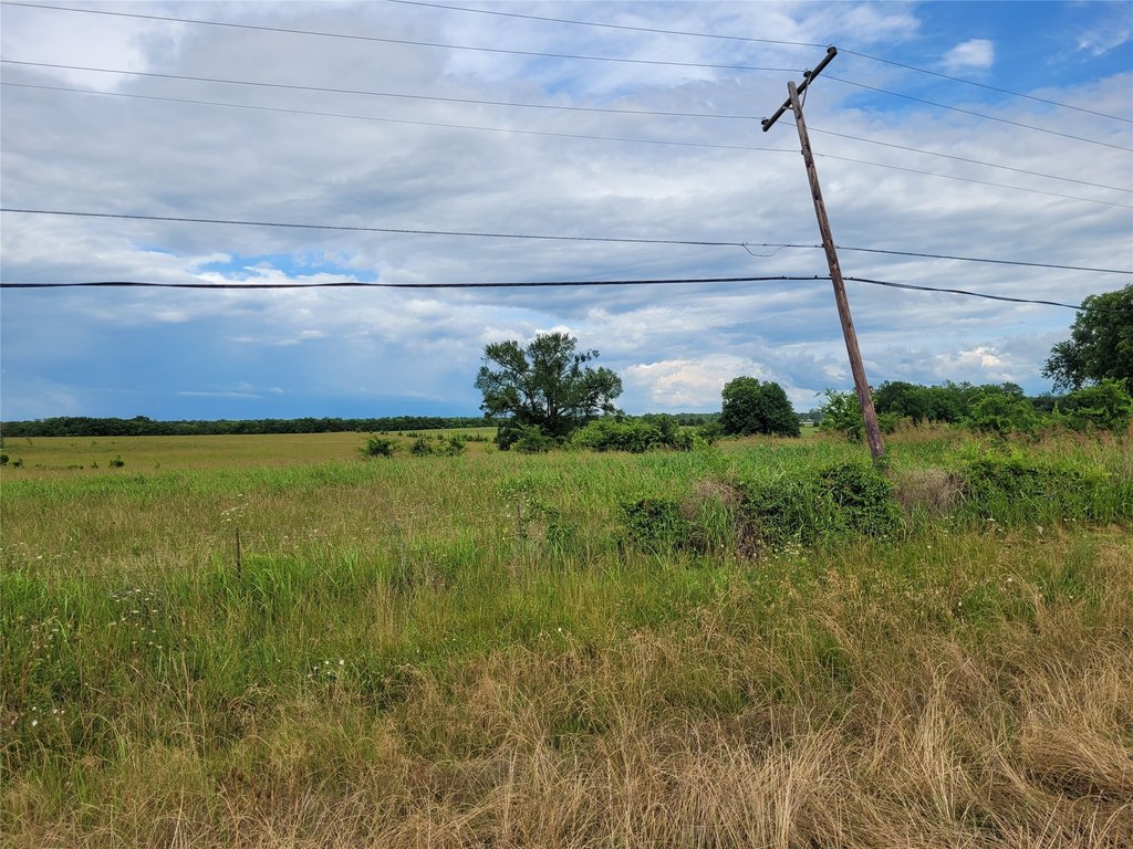 Picture 25