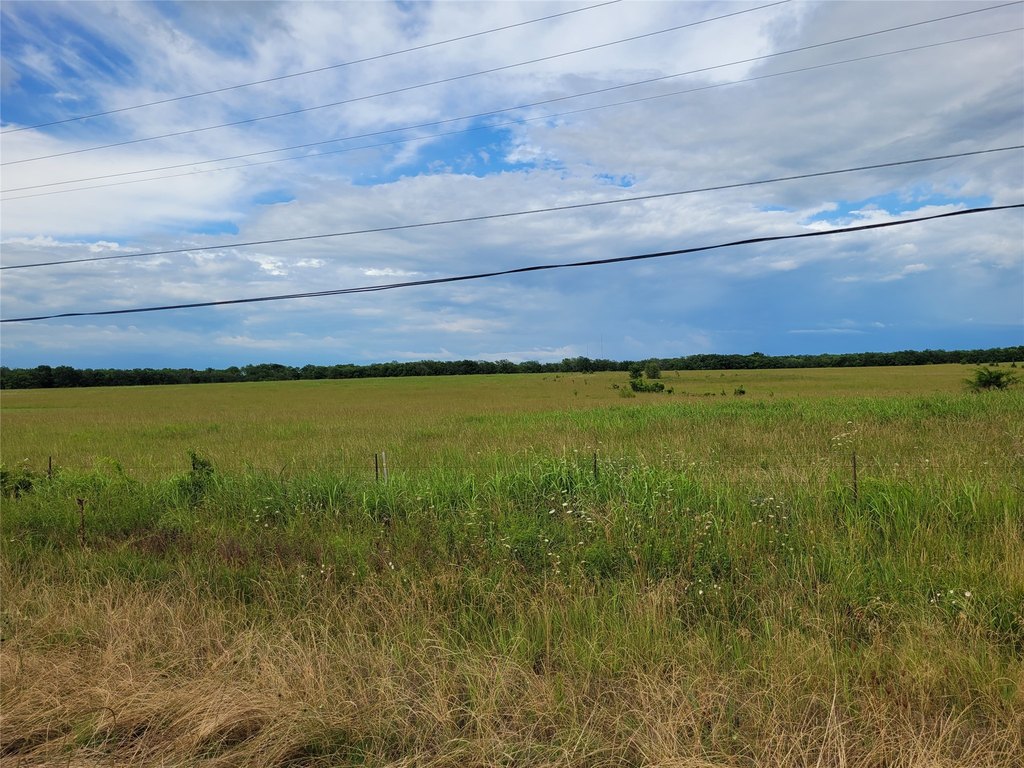 Picture 23