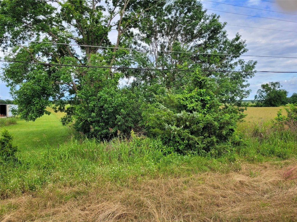 Picture 27