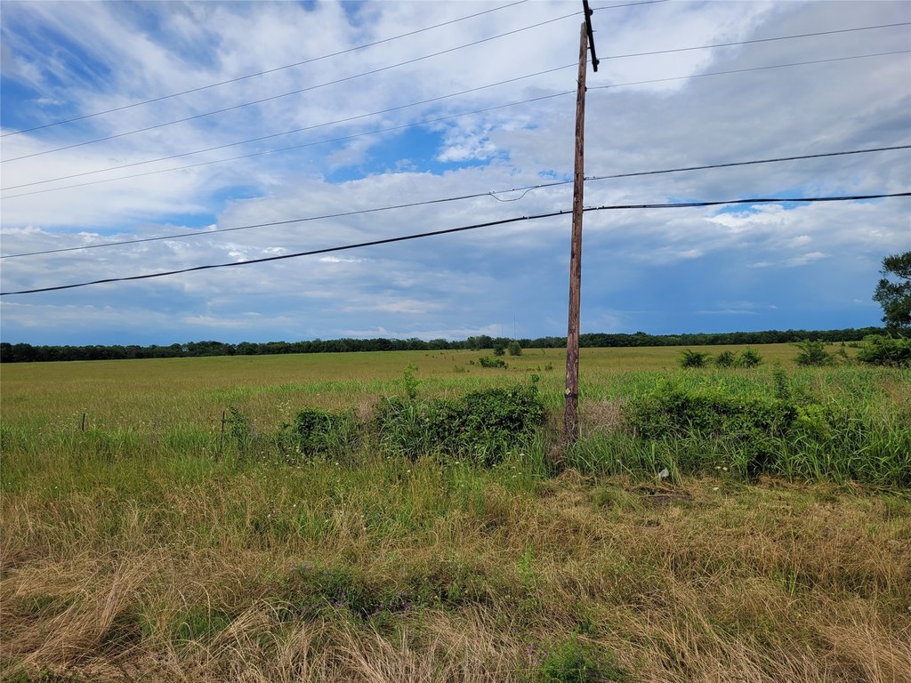 Picture 21