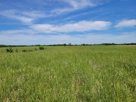 Productive Acreage in Clarksville, TX