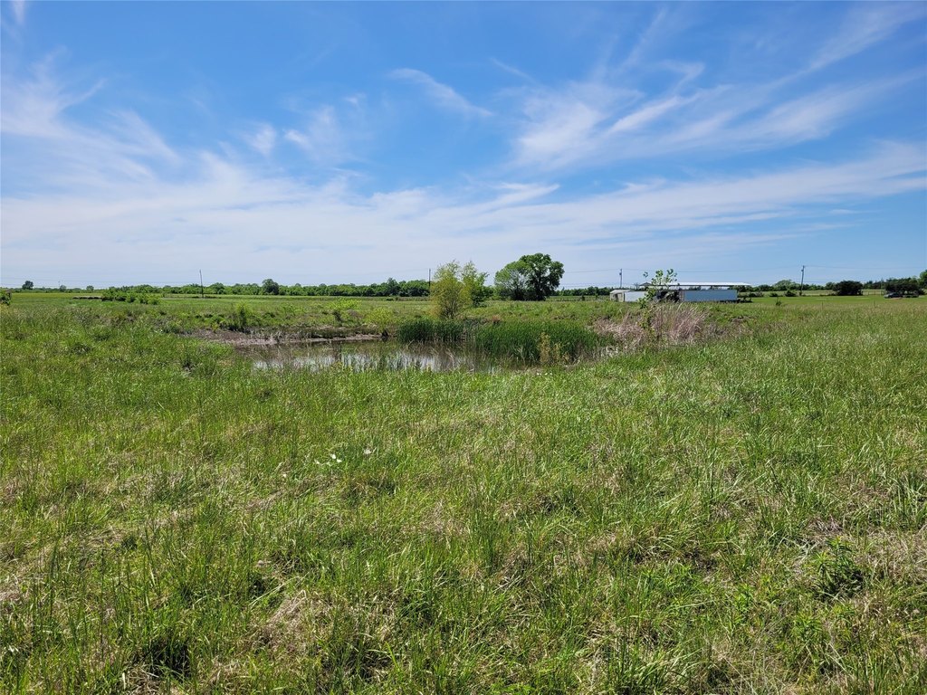 Picture 19