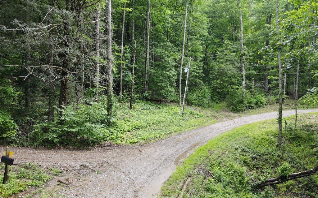 Picture 3