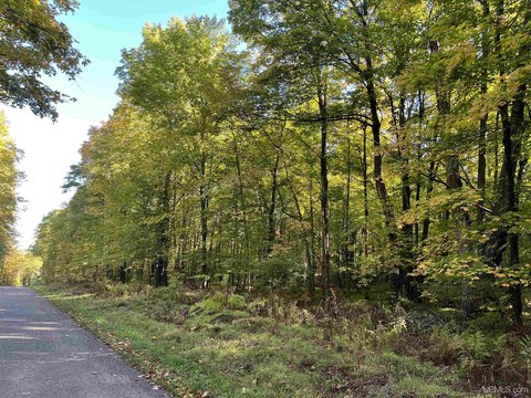 VACANT LAND, Long Lake, WI