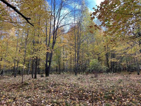 VACANT LAND, Long Lake, WI
