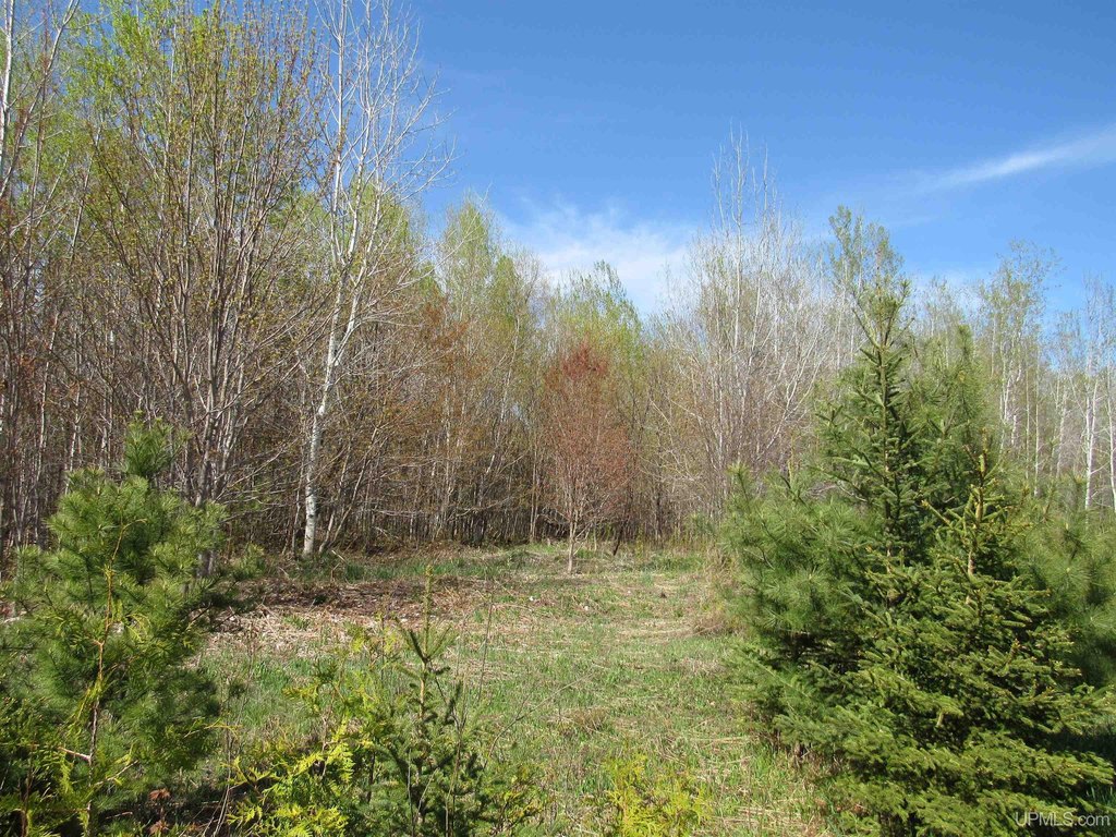 Picture 17