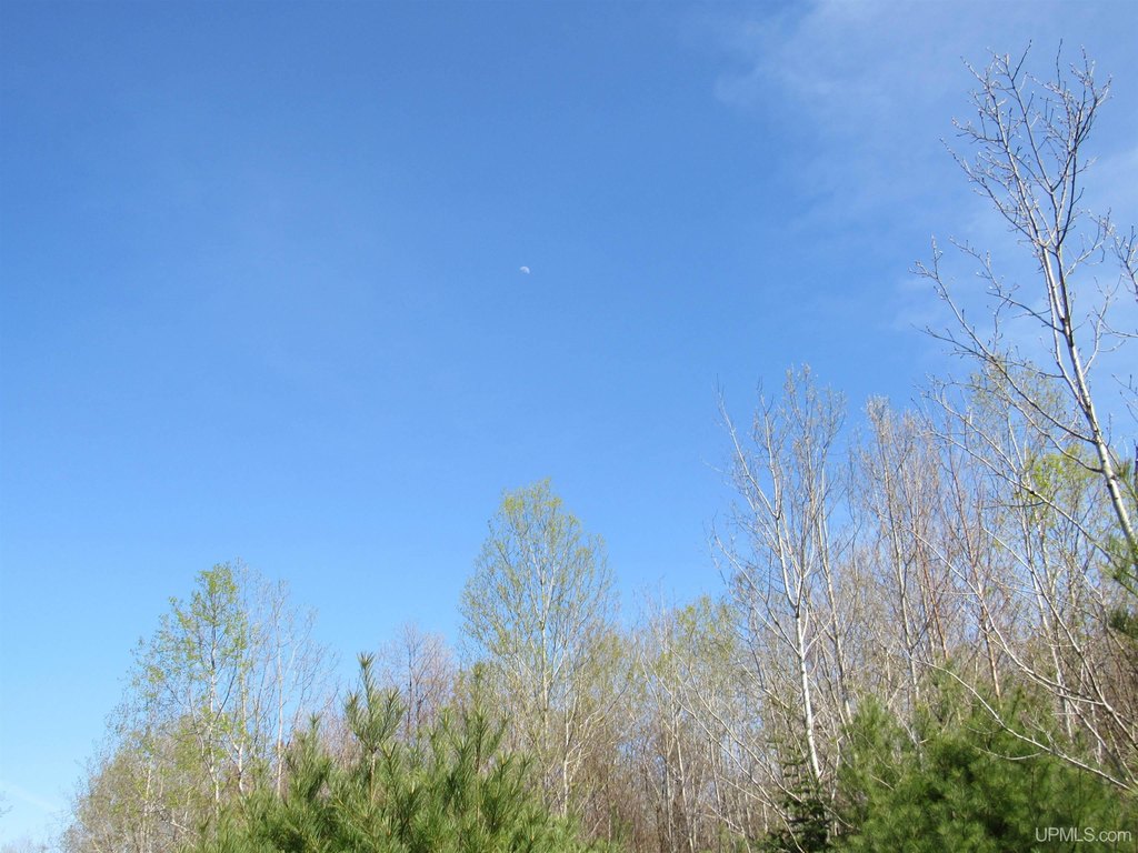 Picture 29
