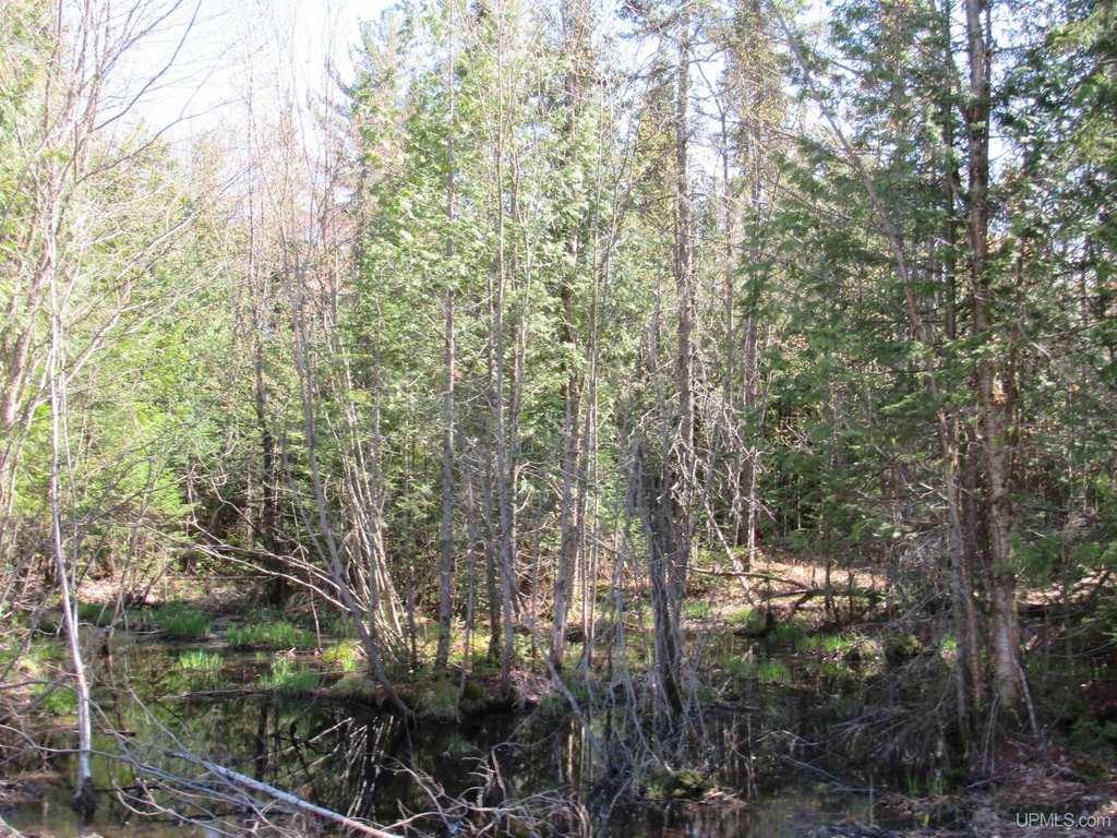 Picture 8
