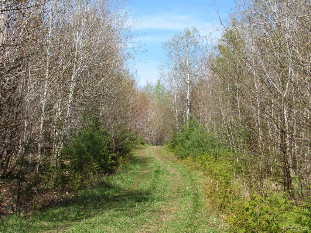 Picture 35