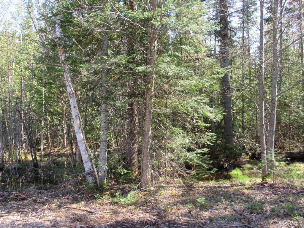 Picture 7