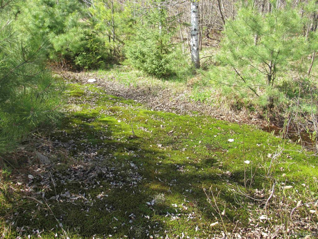 Picture 33