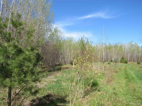 Michigan 400-Acre Recreational Land