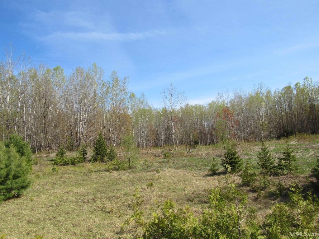 Picture 36