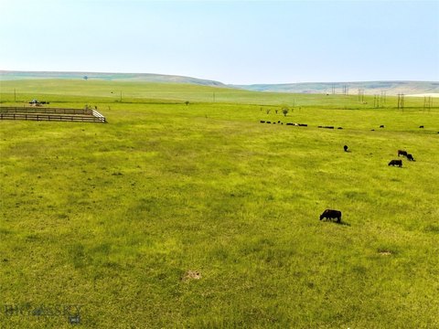 Farm with Pasture and Farmhouse