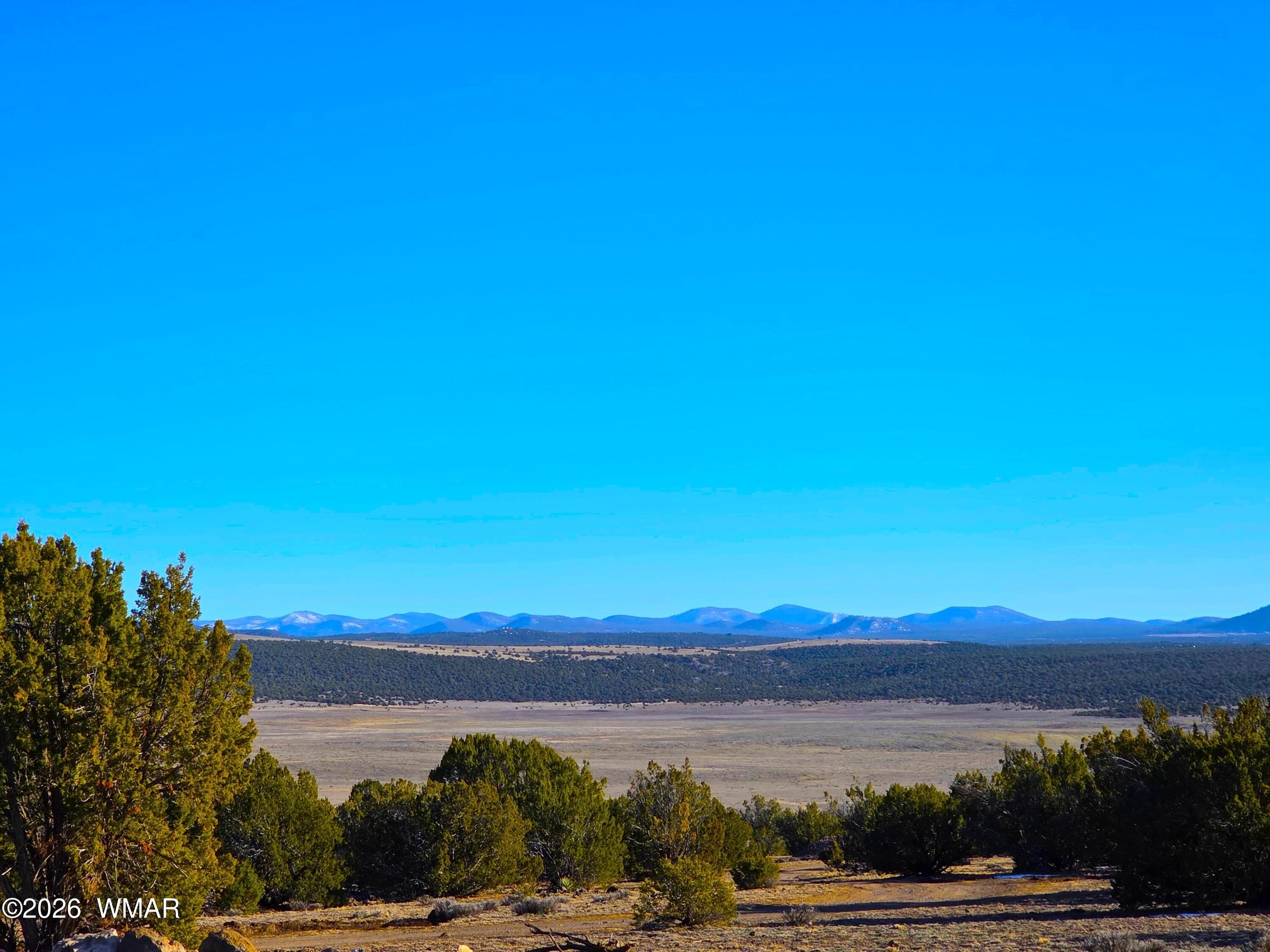5-Acre Land in Show Low
