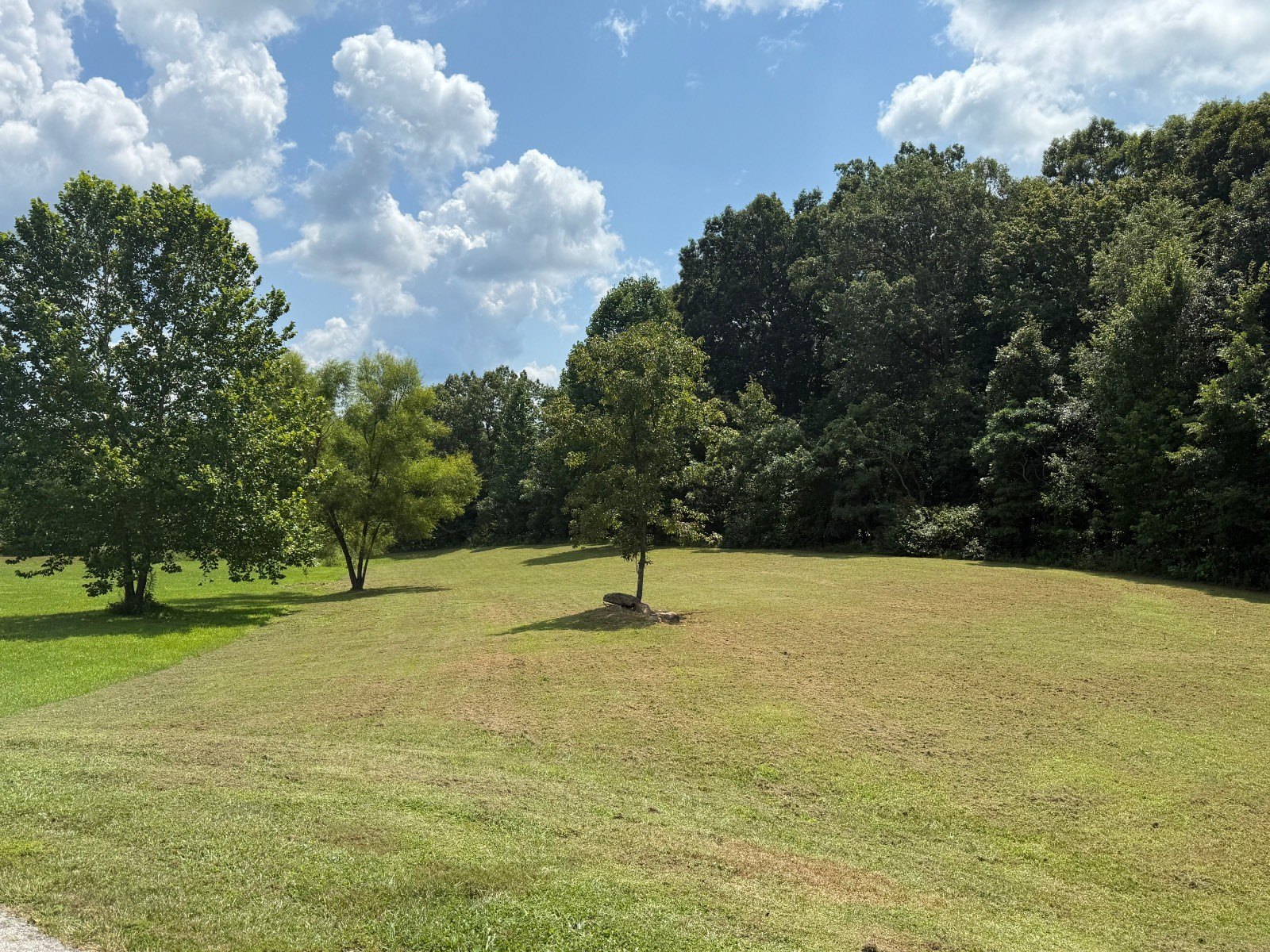 Spacious Residential Lot in Tell