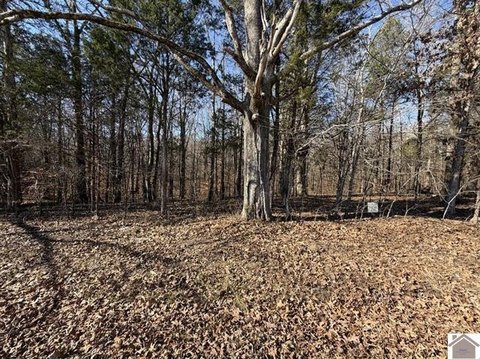 Land, New Concord, KY