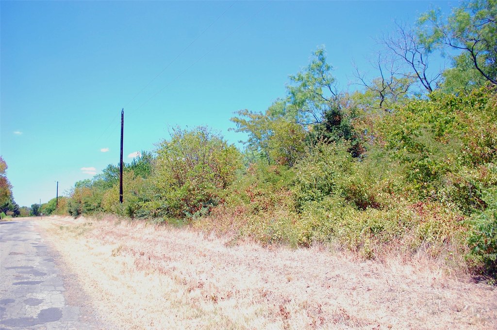 Picture 12