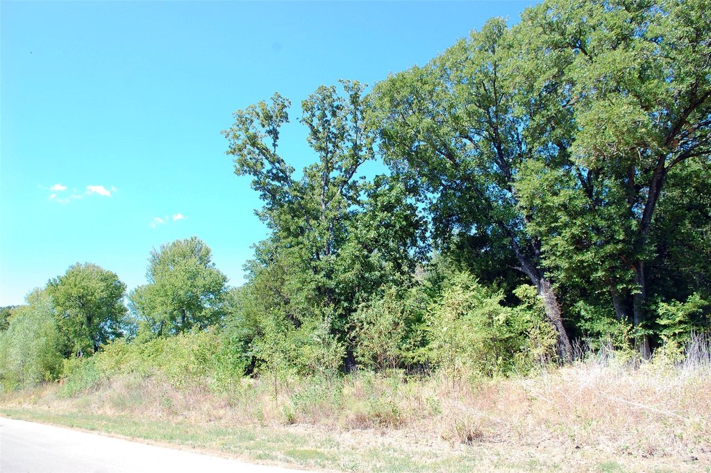 Picture 8